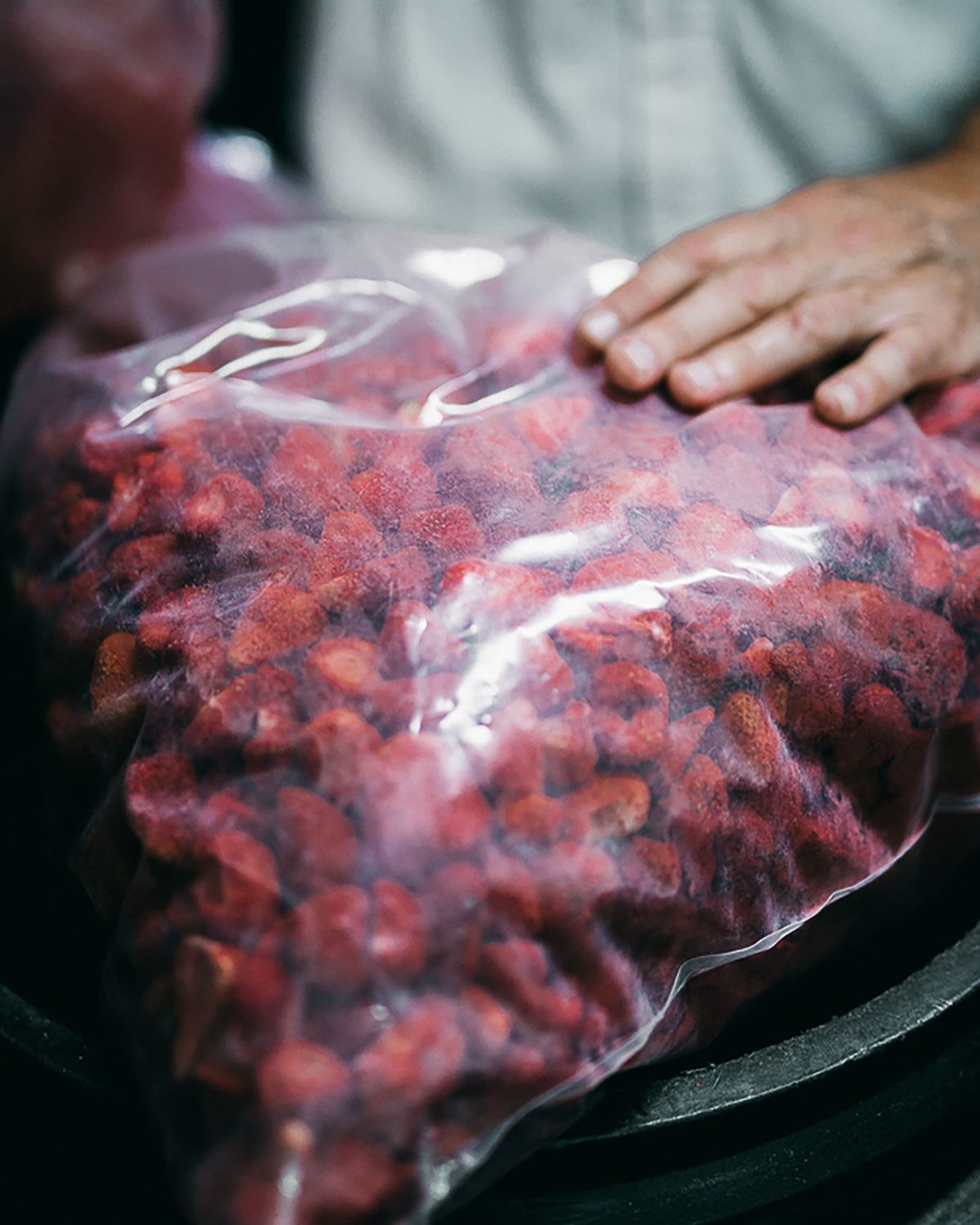 Freeze dried strawberries
